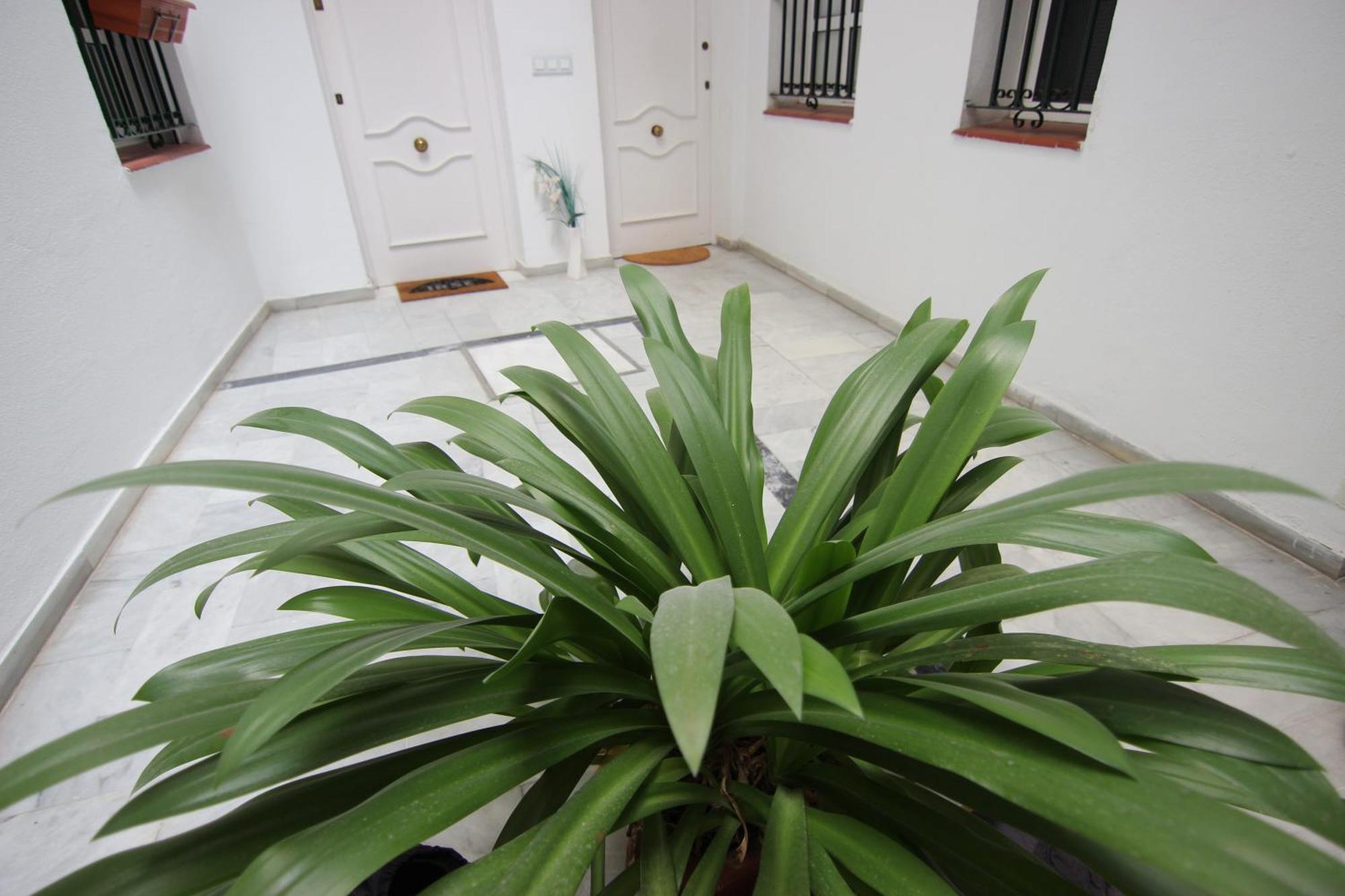 Apartamento Corazon De Triana Seville Exterior photo